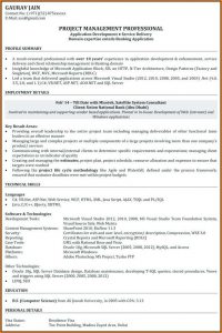 C Level Resume Writers