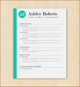 Chef Resume Templates Microsoft Word