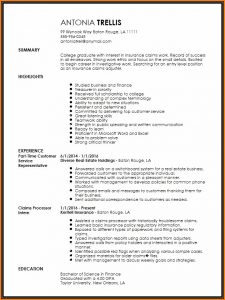 Claims Adjuster Resume Template