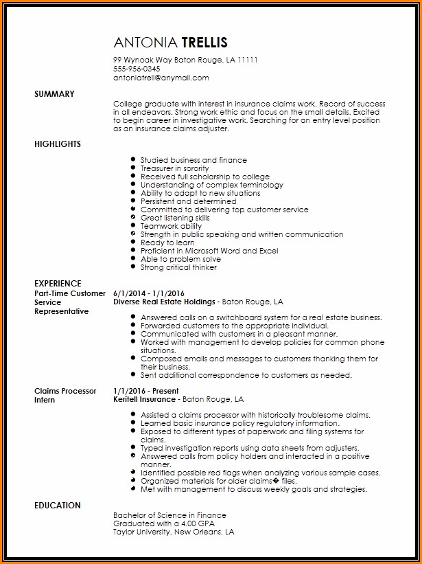Claims Adjuster Resume Template