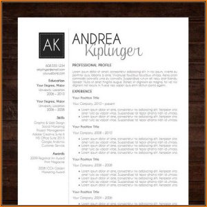 Contemporary Resume Templates Free