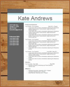 Contemporary Resume Templates Word