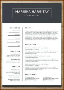 Cool Resume Templates Free Word