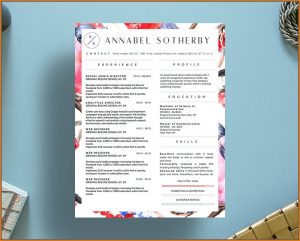 Creative Resume Templates For Microsoft Word