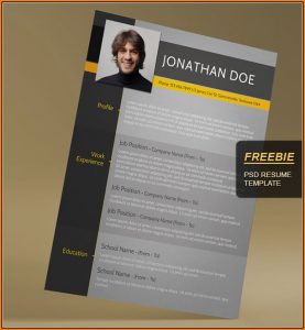 Creative Resume Templates Free Download Word