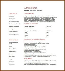 Dental Assistant Resume Template Free