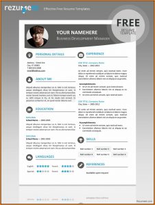 Editable Resume Template Pdf
