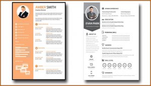 Editable Resume Template Psd
