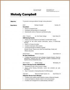 Examples Of Resumes For Nurses