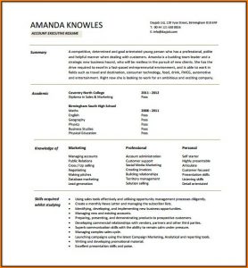 Executive Resume Template Word Free Download