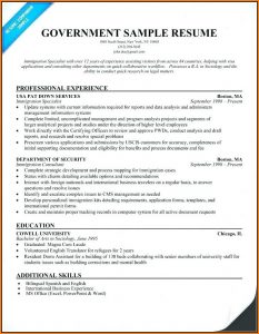 Federal Resume Builder Example