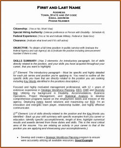 Federal Resume Builder Template