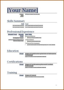Fillable Resume Template