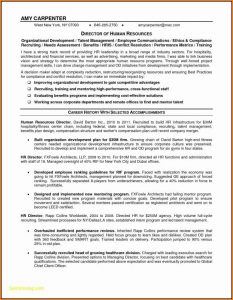 Fillable Resume Templates Pdf