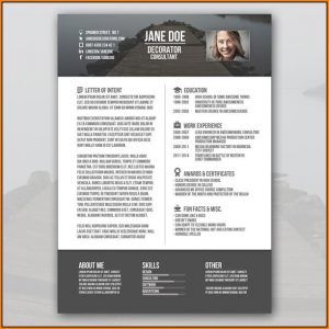 Free Creative Resume Templates For Freshers