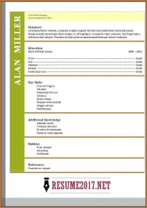 Free Functional Resume Template 2017