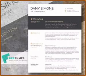Free Modern Resume Templates For Word Download
