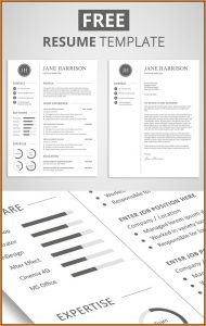Free Modern Resume Templates Psd