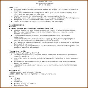 Free Nursing Resume Templates Microsoft Word