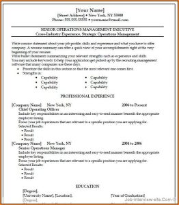 Free Professional Resume Templates Microsoft Word
