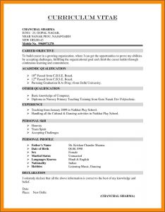 Free Resume Layout Design