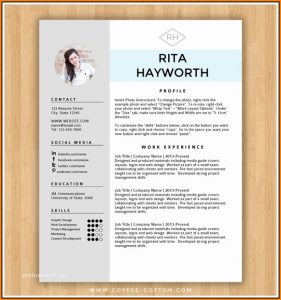 Free Resume Layout Download