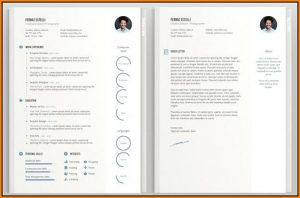 Free Stylish Resume Templates Download