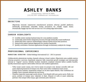 Free Word Document Resume Templates