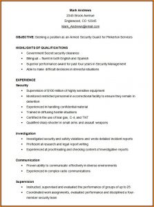 Functional Resume Template Free Word