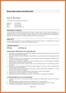 Google Resume Builder Review