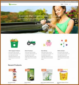 Mlm Website Templates