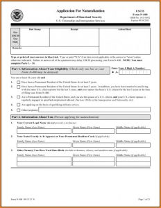 N400 Form Download