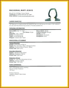 Resume For Dummies Pdf Free Download
