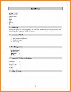 Resume Format Free Download In Ms Word 2007 For Freshers