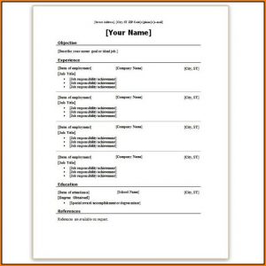 Resume Templates For Microsoft Word 2010