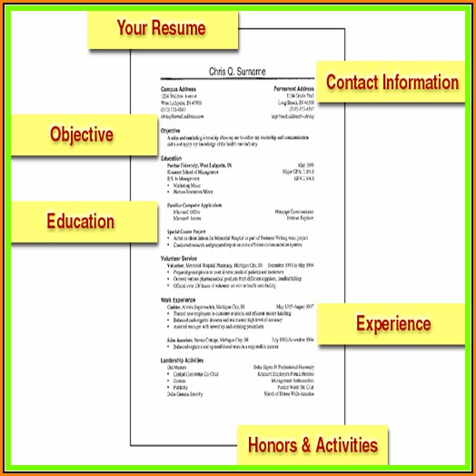 Resumes For Dummies Templates