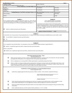 Bankruptcy Chapter 7 Forms Florida