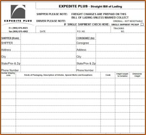 Bill Of Lading Short Form Template Excel