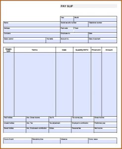 Blank Pay Stub Template