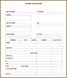 Blank Pay Stub Template Pdf