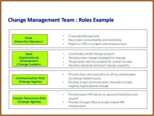 Chronic Care Management Care Plan Template