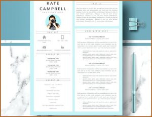 Contemporary Resume Templates Free Word