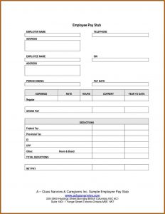 Editable Blank Pay Stub Template