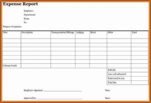 Free Expense Report Form Pdf