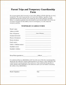 Free Temporary Guardianship Form Florida