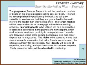 Guerrilla Marketing Plan Template