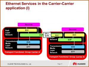 Mailman Job Application