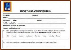 Mcdonalds Online Job Application Answers