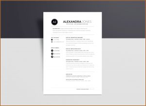 Minimalist Resume Template Word Free