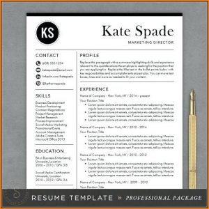 Modern Resume Template Free Word
